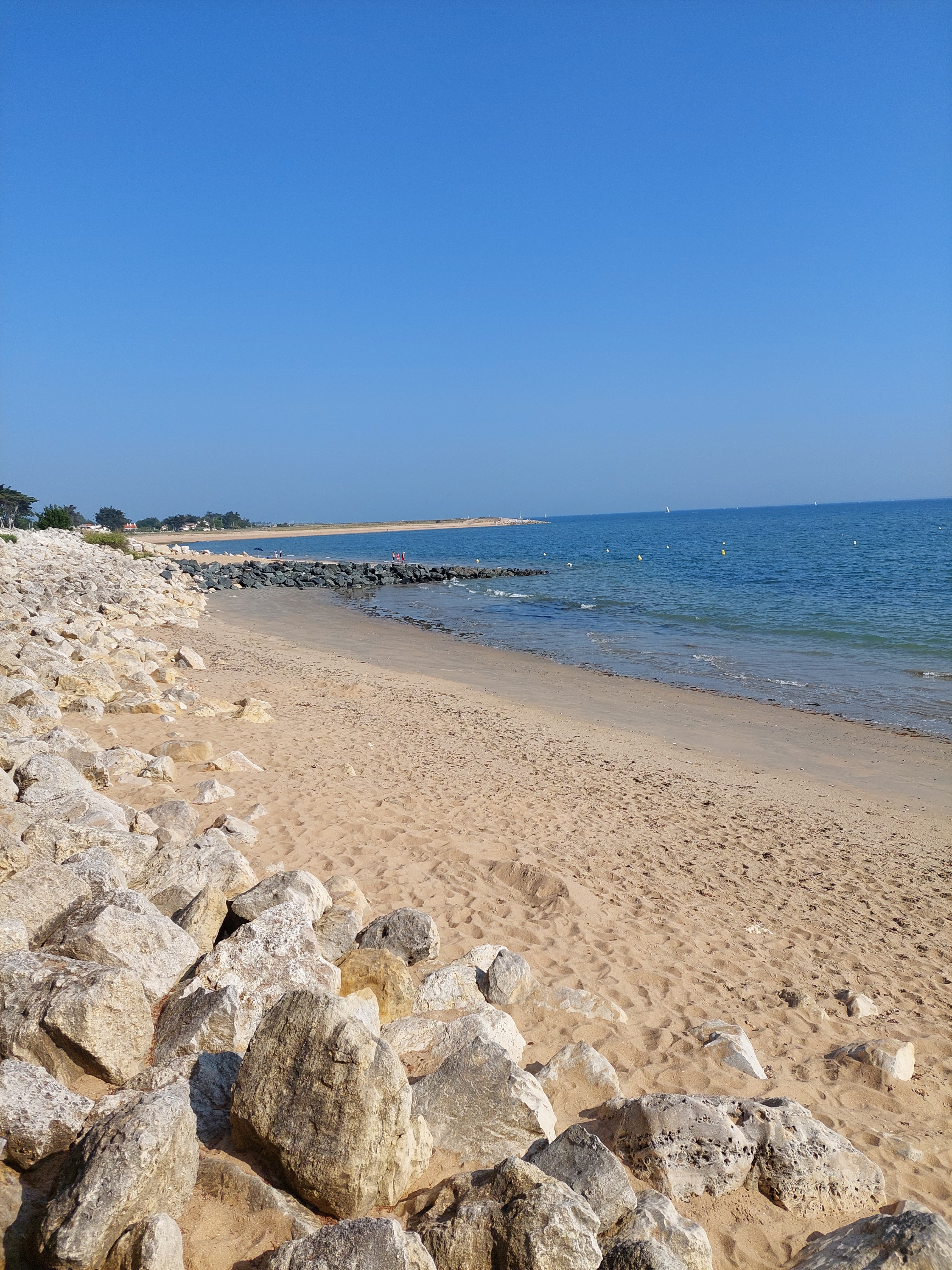Photo n° 3 de l'avis de Carvalho.i fait le 20/07/2021 à 06:22