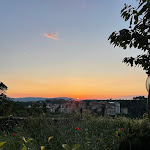 Photo n°1 de l'avis de Sandra.a fait le 08/06/2023 à 07:48 sur le  Vivace Ristorante à Siena