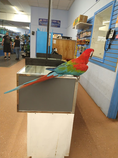 Pet Store «Fins Feathers Paws Claws», reviews and photos, 201 Station Rd, Quakertown, PA 18951, USA