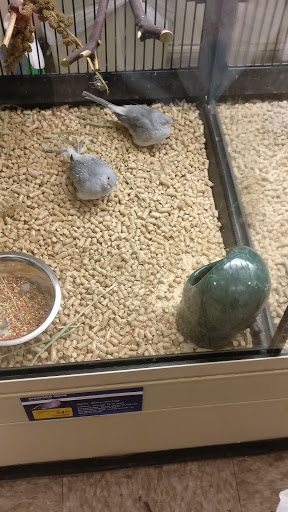 Pet Supply Store «PetSmart», reviews and photos, 2818 S Louise Ave, Sioux Falls, SD 57106, USA