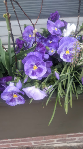 Shopping Mall «Tannery Shopping Center», reviews and photos, 50 Water St, Newburyport, MA 01950, USA