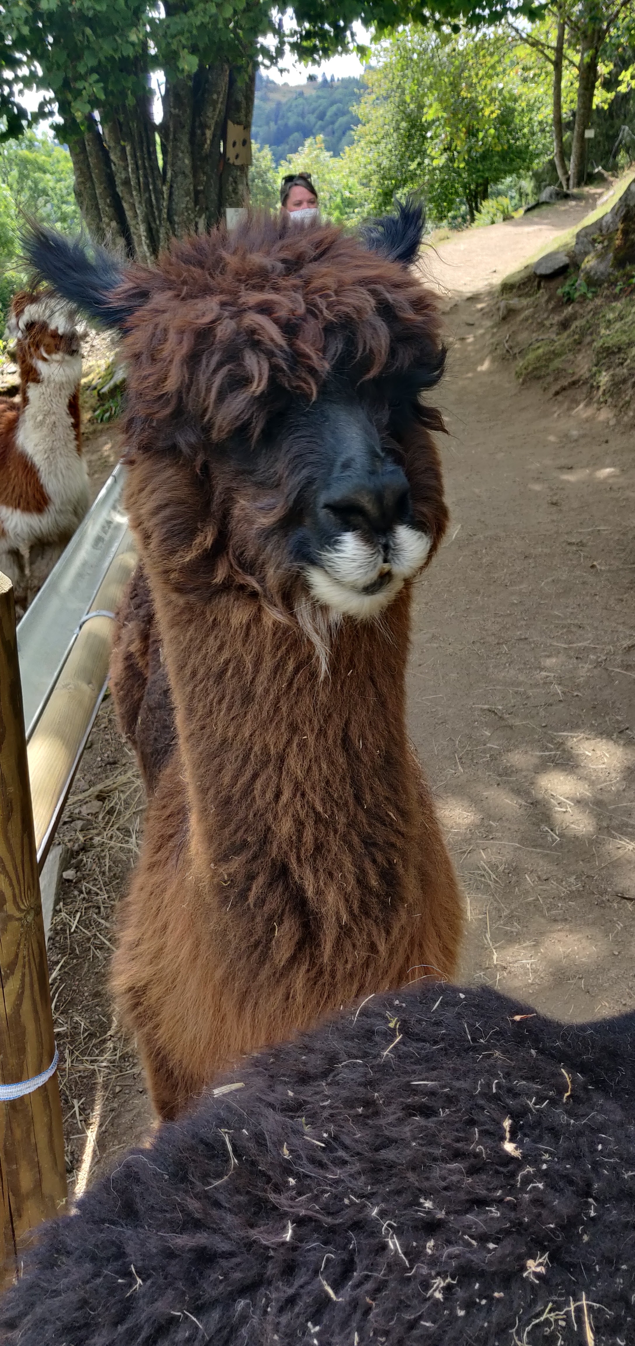 Photo n° 3 de l'avis de Elodie. fait le 17/08/2020 à 15:20