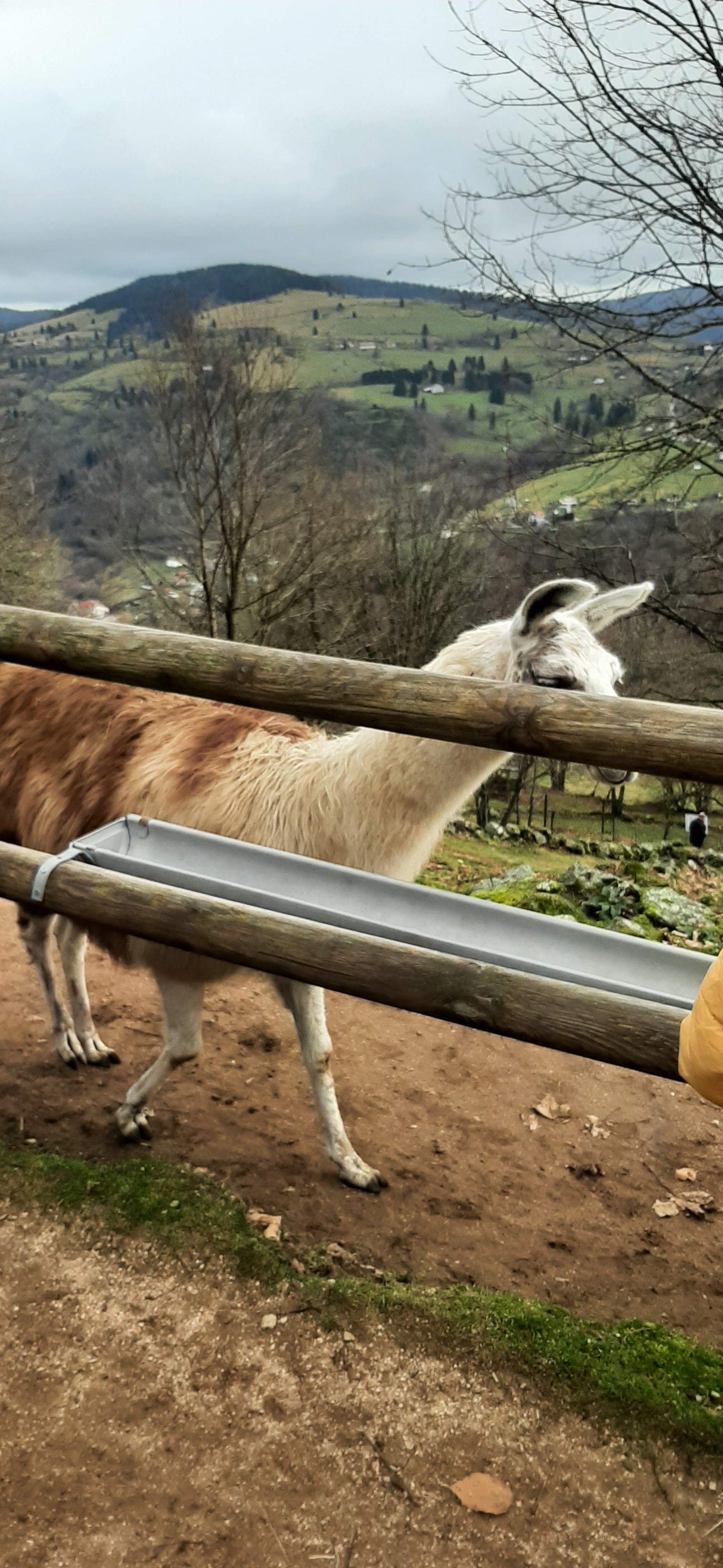 Photo n° 12 de l'avis de laurence.e fait le 30/12/2022 à 18:18