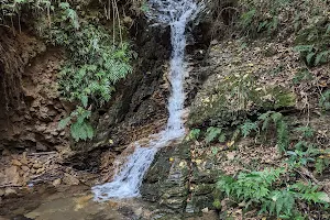 Choyotodoro Falls image