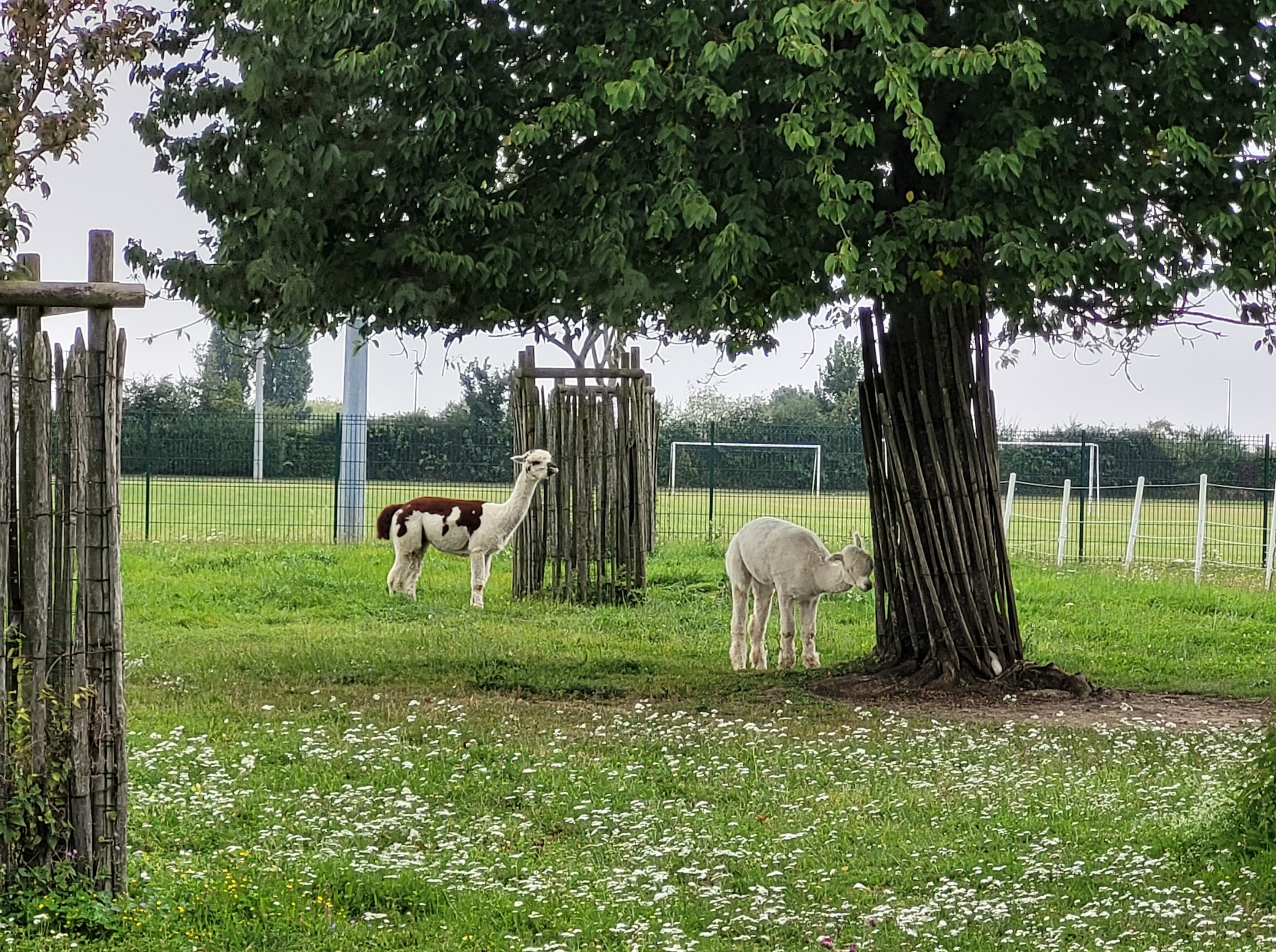 Photo n° 15 de l'avis de Mélinda. fait le 10/09/2021 à 07:22