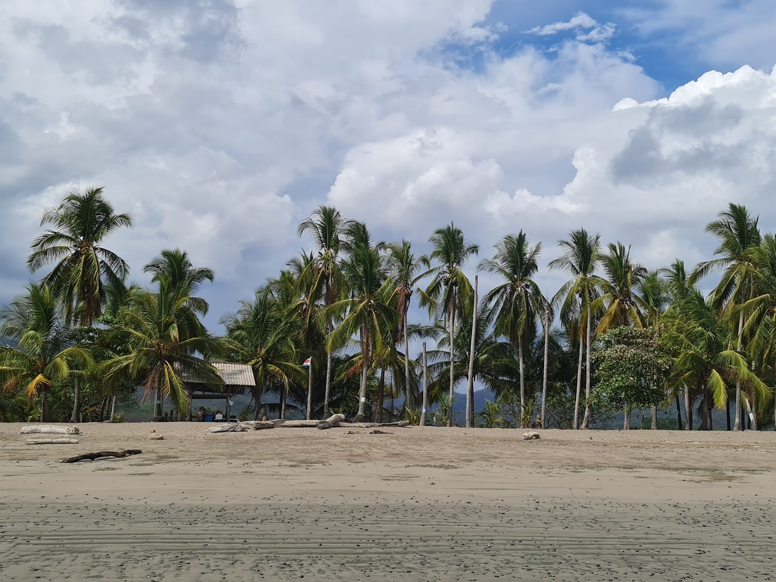 Fotografie cu Corozalito Beach zonă sălbatică