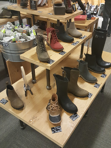 Camping Store «REI», reviews and photos, 6911 Fayetteville Rd #109, Durham, NC 27713, USA