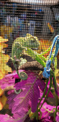 Pet Supply Store «Pet Valu», reviews and photos, 200 Biggs Blvd, Harrison, OH 45030, USA