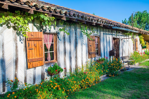 Lodge LA MUSARDE Ychoux