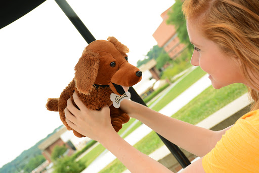 Book Store «UMBC Bookstore», reviews and photos, 1000 Hilltop Cir, Baltimore, MD 21250, USA