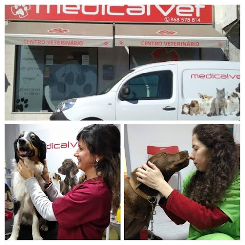 Medicalvet Fundão - Veterinários - Veterinário