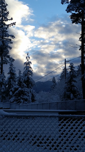 Liquor Store «Snoqualmie Tobacco & Liquor Company», reviews and photos, 37500 SE North Bend Way, Snoqualmie, WA 98065, USA