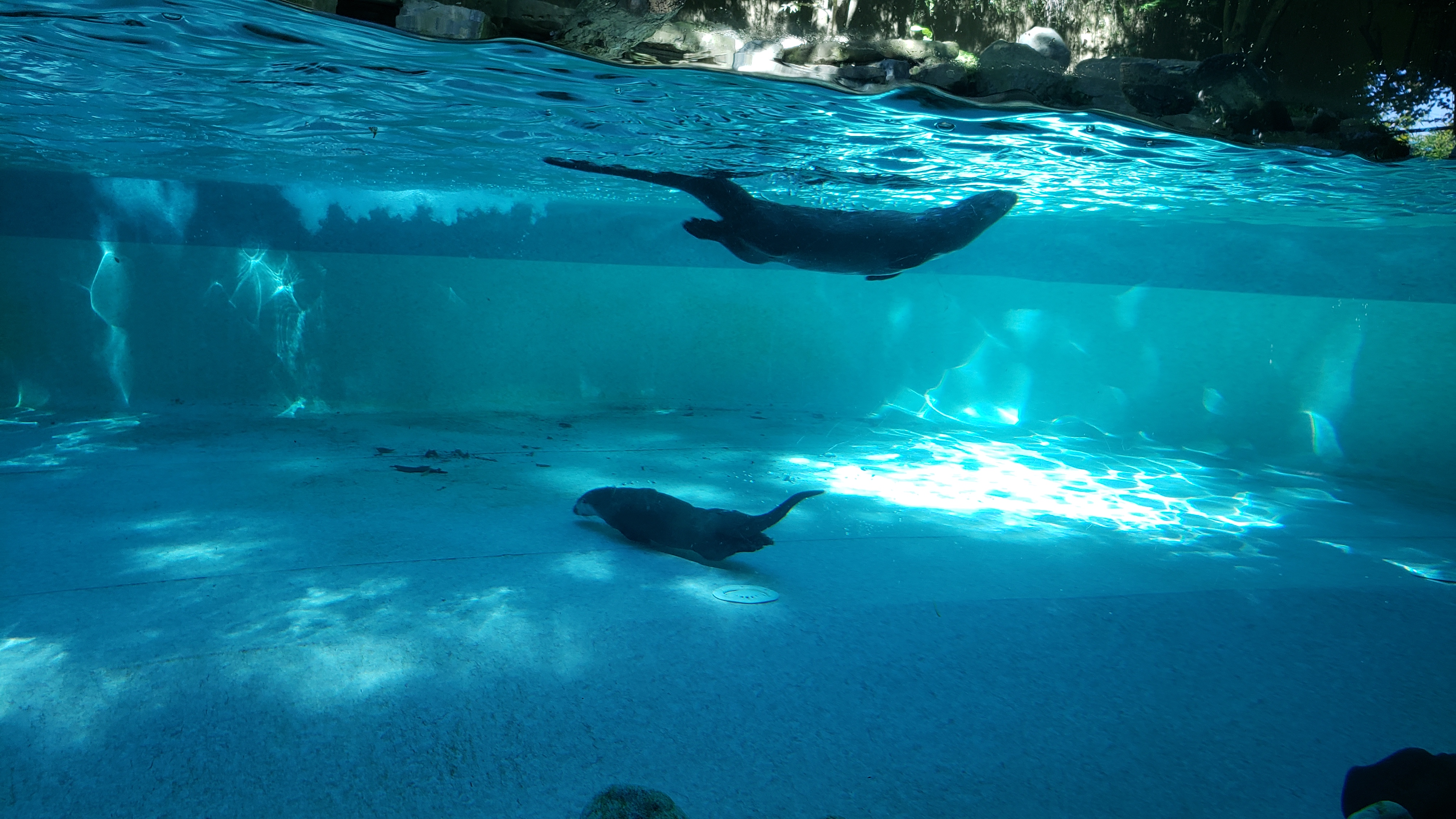 Photo n° 1 de l'avis de Cris.9 fait le 05/10/2023 à 13:30