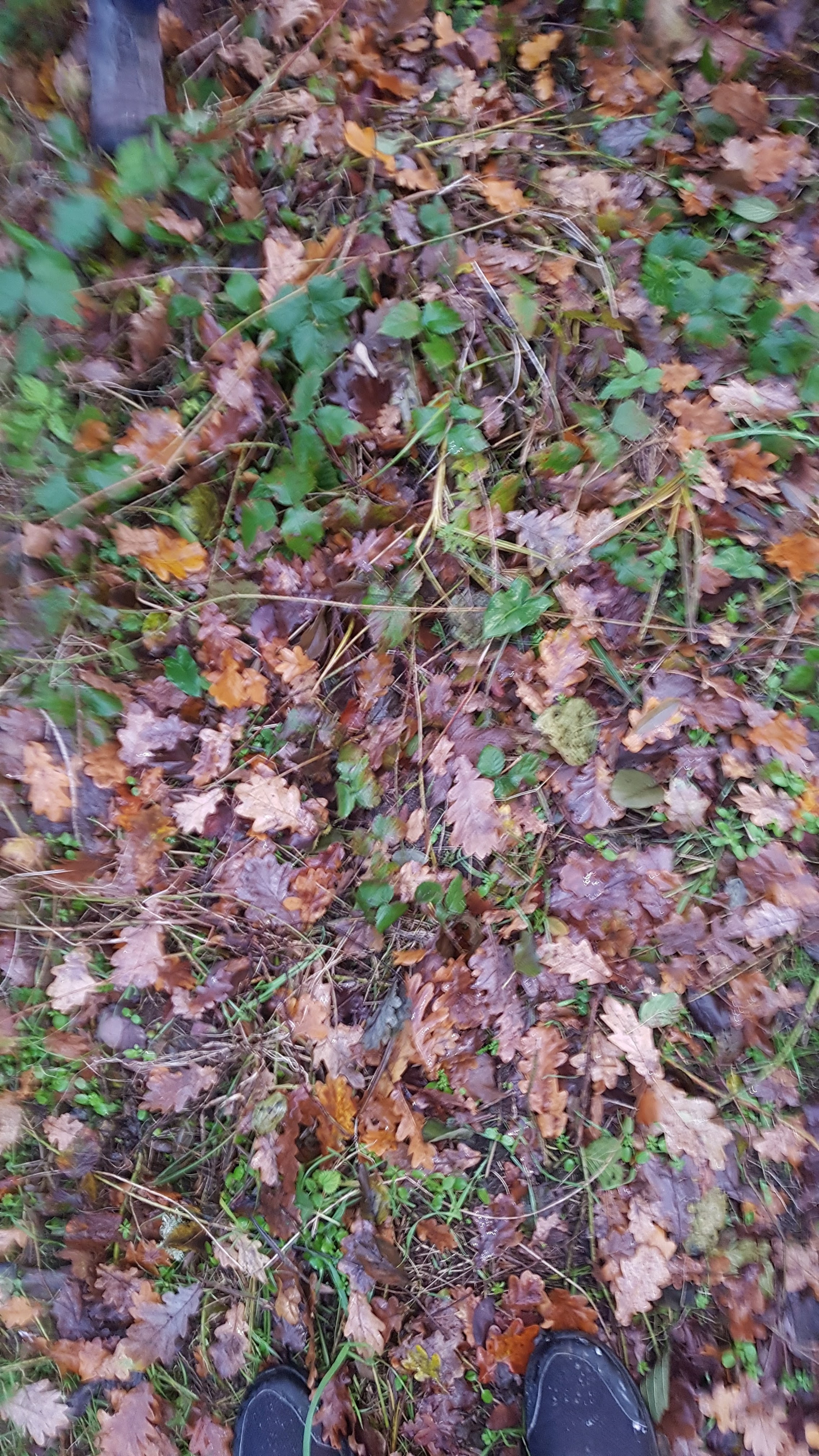 Photo n° 1 de l'avis de Joanna.A fait le 29/12/2021 à 13:09