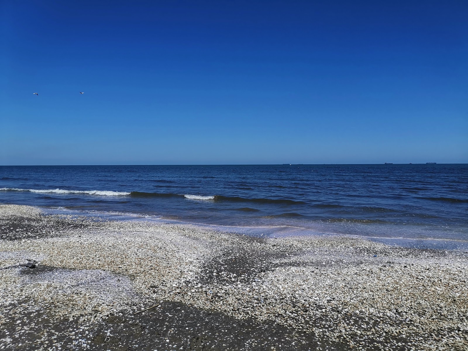 Port Said Beach'in fotoğrafı biraz temiz temizlik seviyesi ile