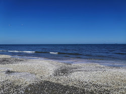 Port Said Beach'in fotoğrafı biraz temiz temizlik seviyesi ile