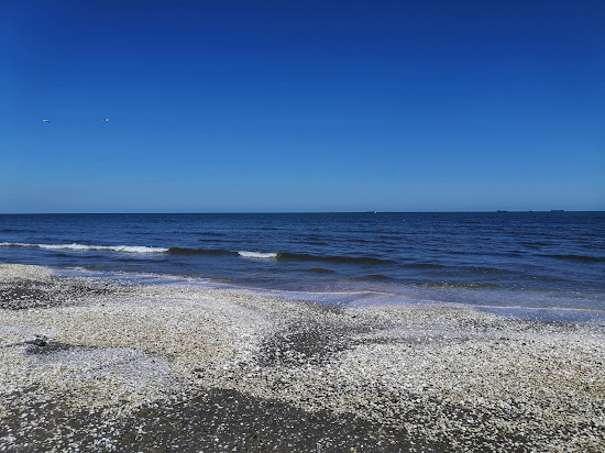 Port Said Beach