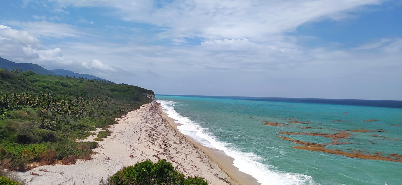 Foto de Playa Caletón ubicado en área natural
