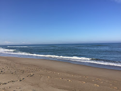 Vejlby Klit Beach'in fotoğrafı - rahatlamayı sevenler arasında popüler bir yer