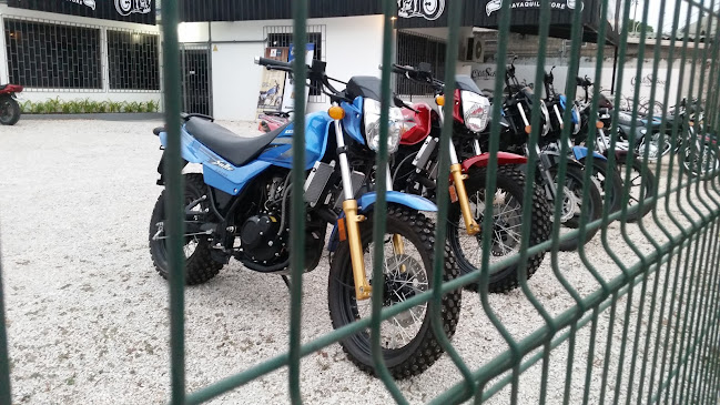 Old School Custom Bikes - Guayaquil