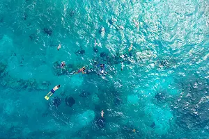 Stingray Beach Cozumel image