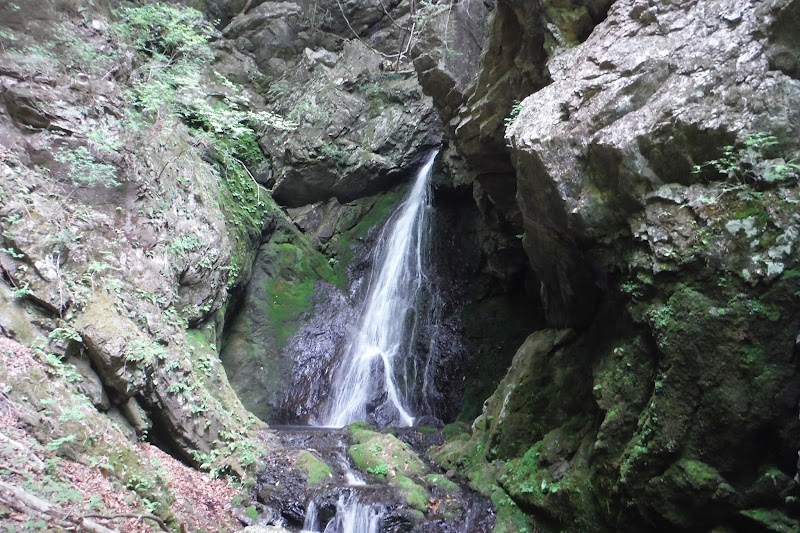 枠木の大滝