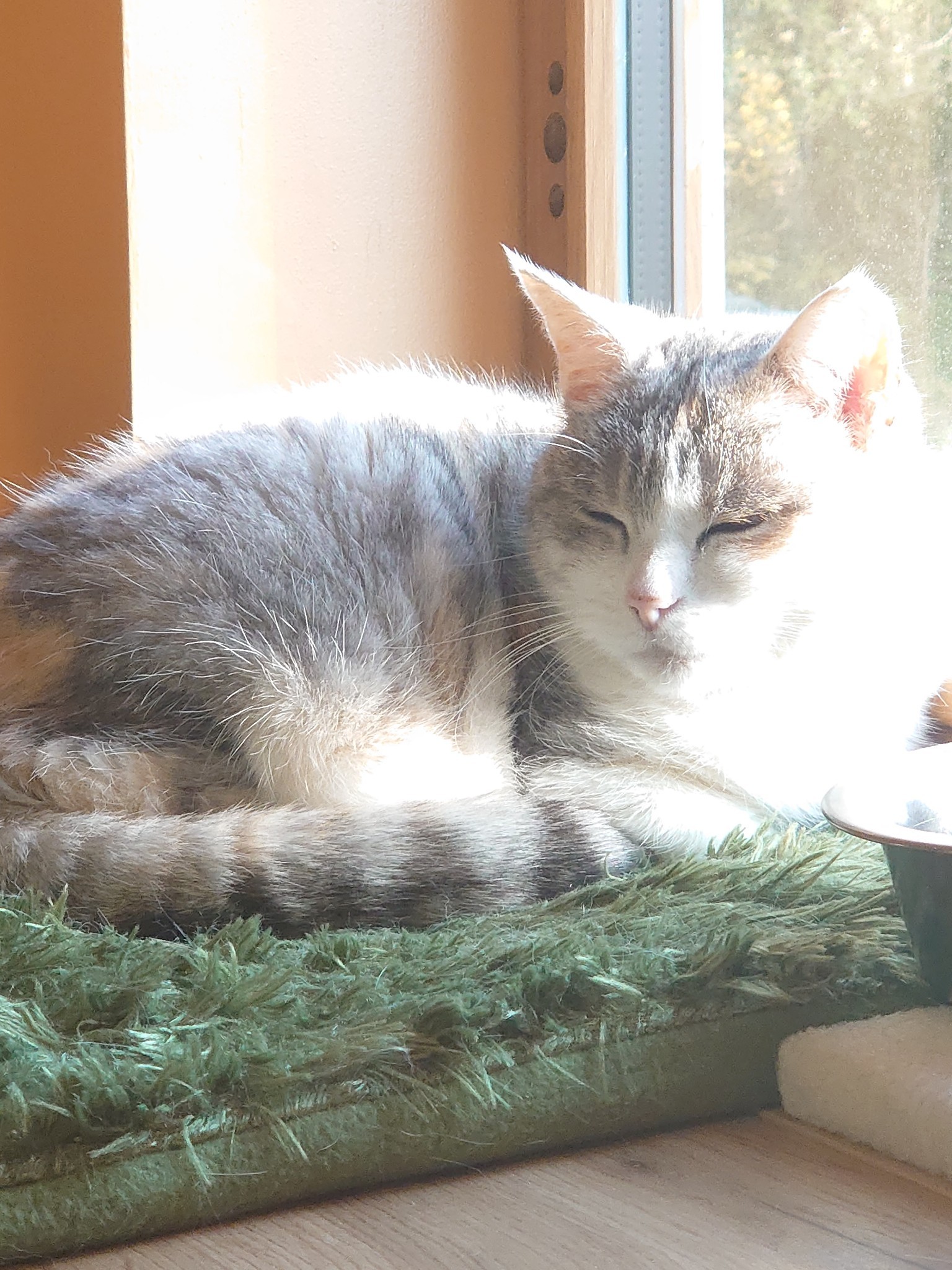 Photo n° 10 de l'avis de Nicolas.a fait le 01/06/2023 à 12:54