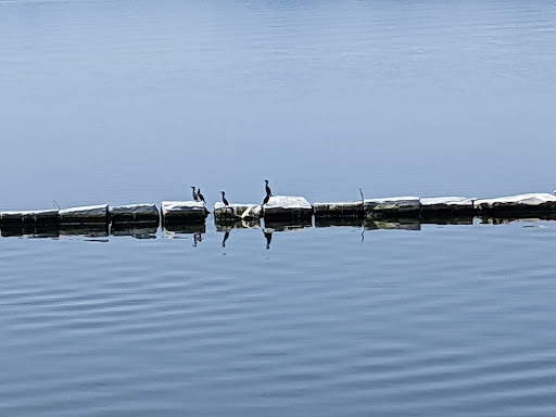 Cruise Line Company «Spirit of Ethan Allen», reviews and photos, 1 College St, Burlington, VT 05401, USA