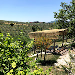 Photo n°3 de l'avis de Ilaria.r fait le 29/06/2020 à 14:38 sur le  Agriturismo Le Cerqueta à Monteleone Sabino