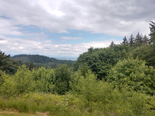 State Park «Willamette Stone State Heritage Site», reviews and photos, 253 NW Skyline Blvd, Portland, OR 97210, USA