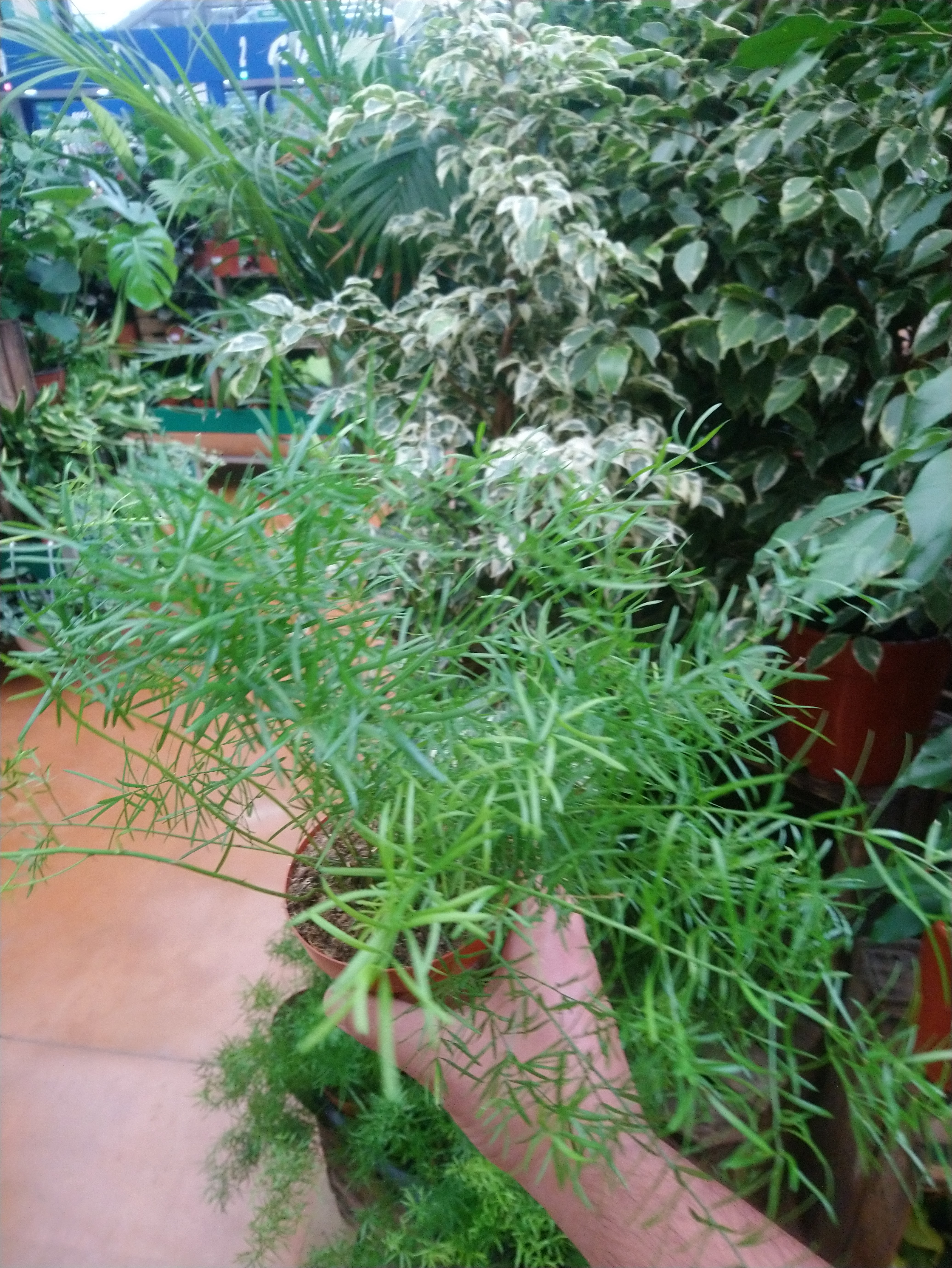 Photo n° 2 de l'avis de Majd.A fait le 23/04/2019 à 17:01