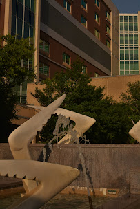 Cox Medical Center South Emergency and Trauma Center - Photo 7 - Car repair in Springfield, MO, Springfield