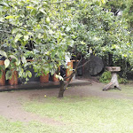 Photo n°8 de l'avis de Timp. fait le 24/10/2018 à 20:04 sur le  A Quinta à Furnas