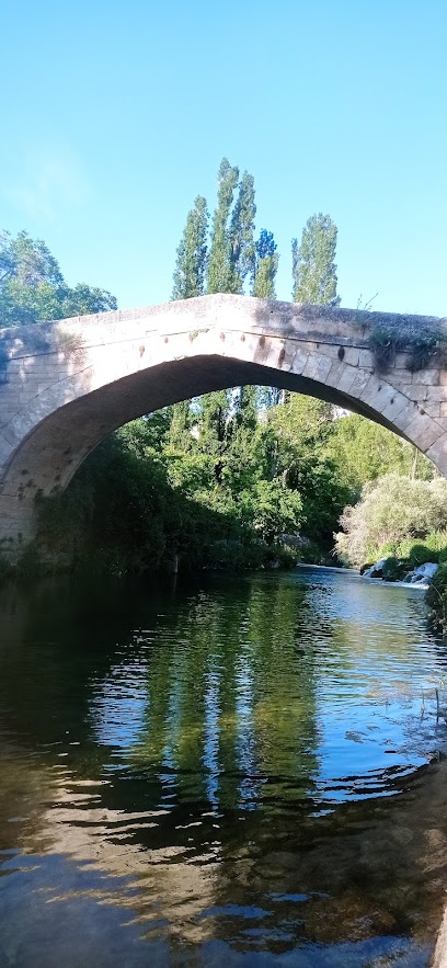 Rural Rio Escabas - Av. Gil Carrillo de Albornoz, 17, 16890 Cañamares, Cuenca, Spain