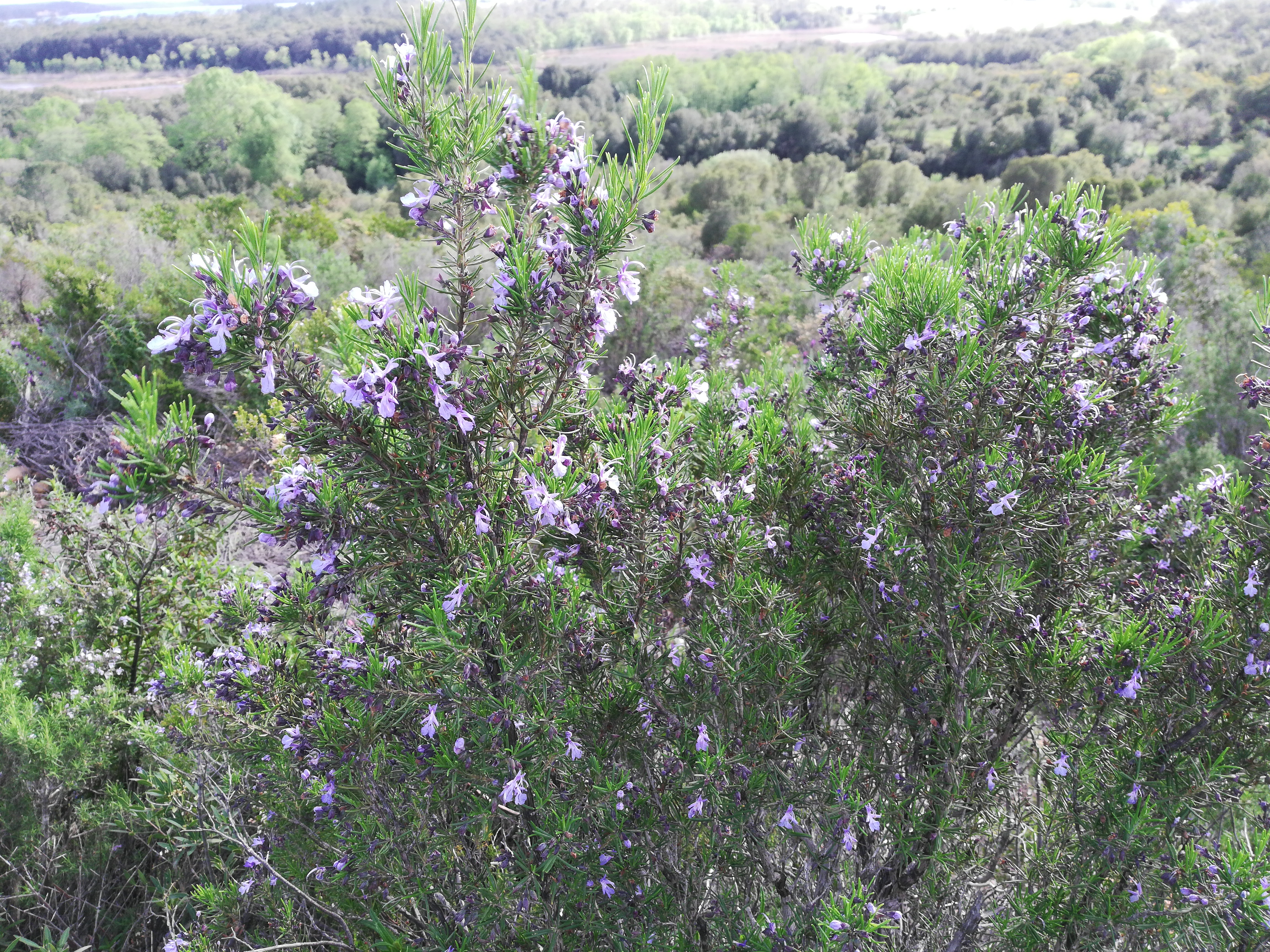 Photo n° 1 de l'avis de Alain.I fait le 15/04/2018 à 08:07