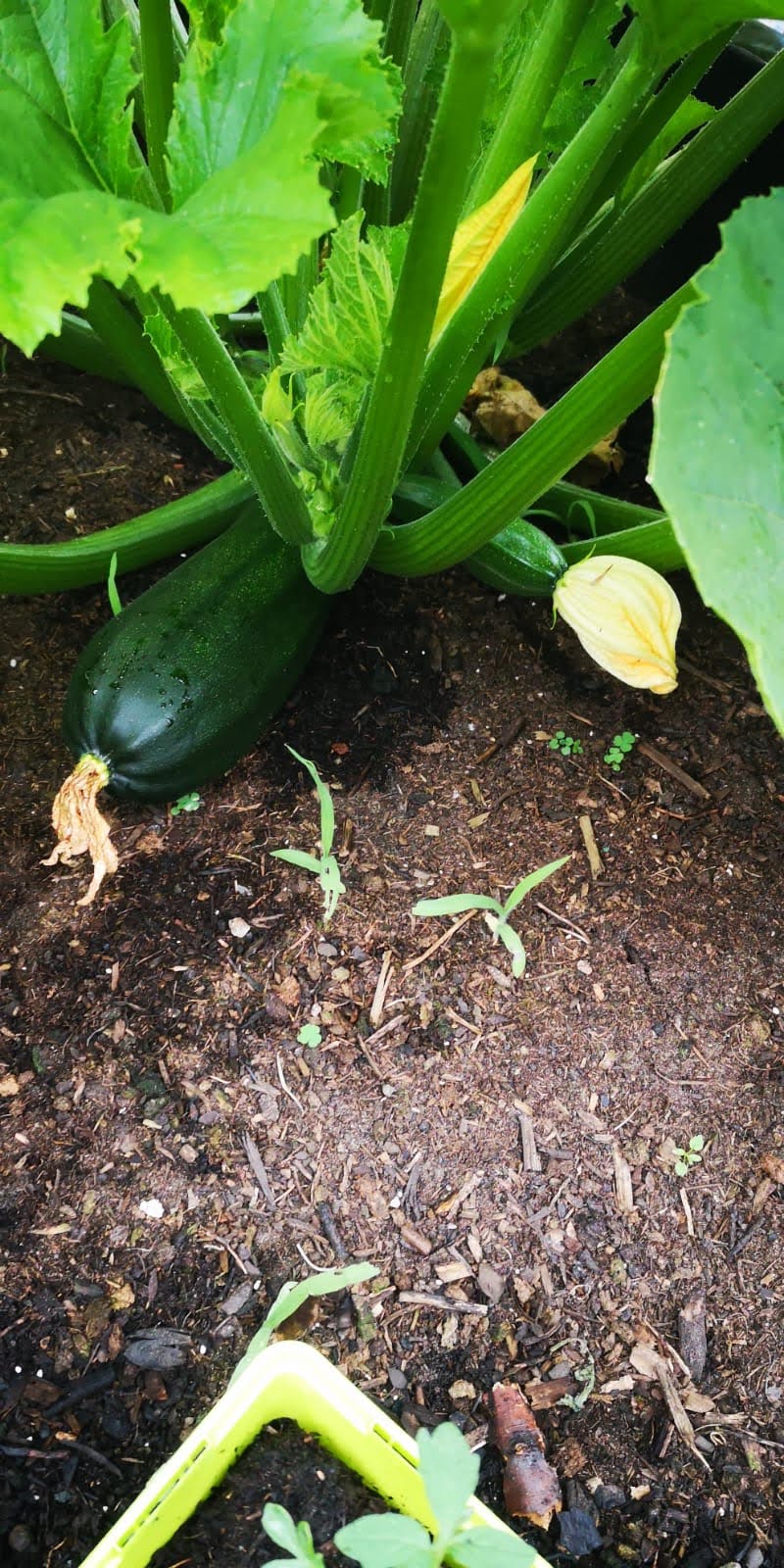 Photo n° 3 de l'avis de Amandine.. fait le 15/07/2018 à 10:04