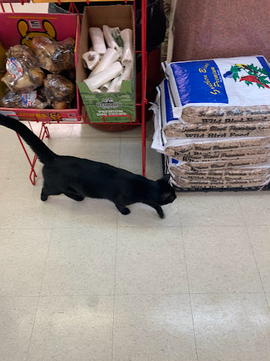 Pet Supply Store «C & J Feed Store», reviews and photos, 2653 Aurora Rd, Melbourne, FL 32935, USA