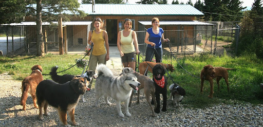 Happytails Pet Retreat