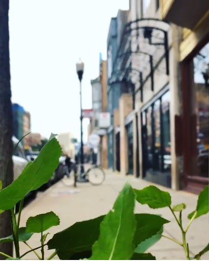 Cafe «The Wormhole Coffee», reviews and photos, 1462 N Milwaukee Ave, Chicago, IL 60622, USA