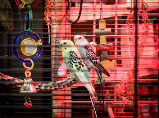 Pet Supply Store «Sutter Orchard Supply», reviews and photos, 573 Bridge St, Yuba City, CA 95991, USA