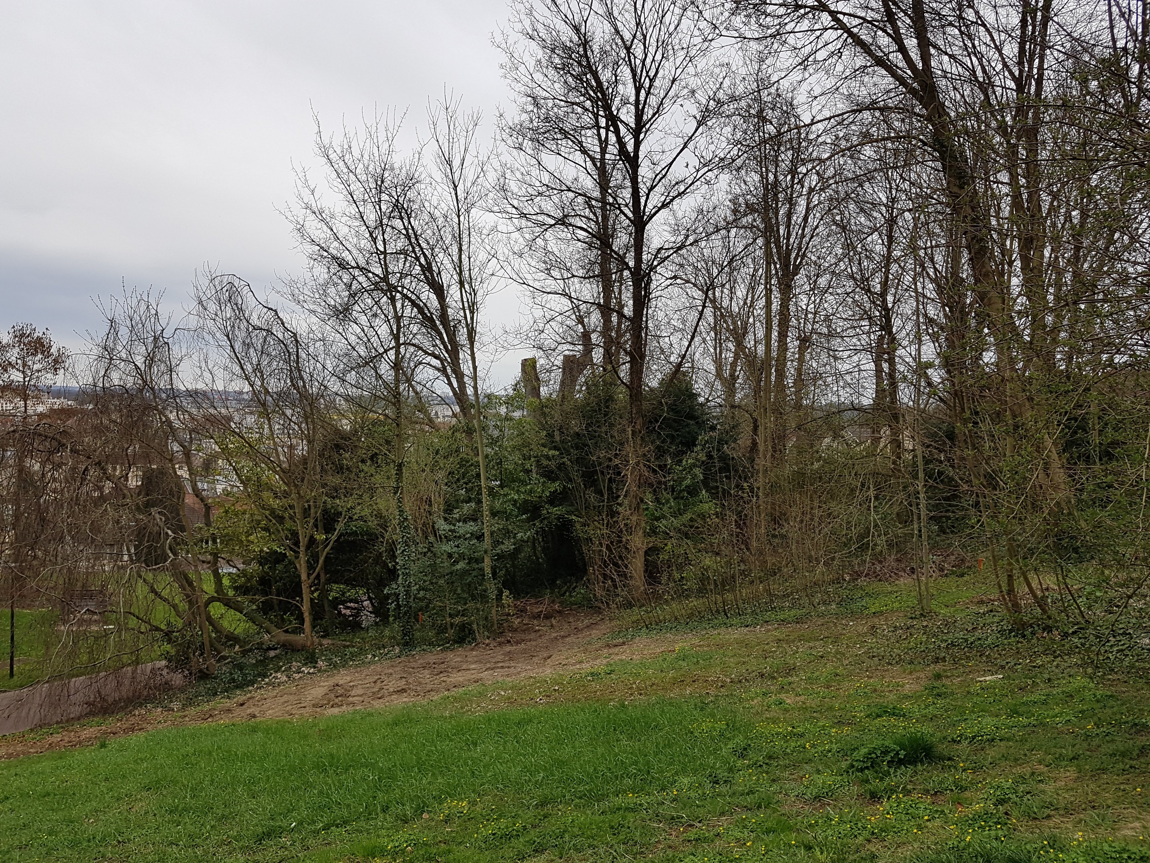 Photo n° 5 de l'avis de A. fait le 03/04/2018 à 09:37