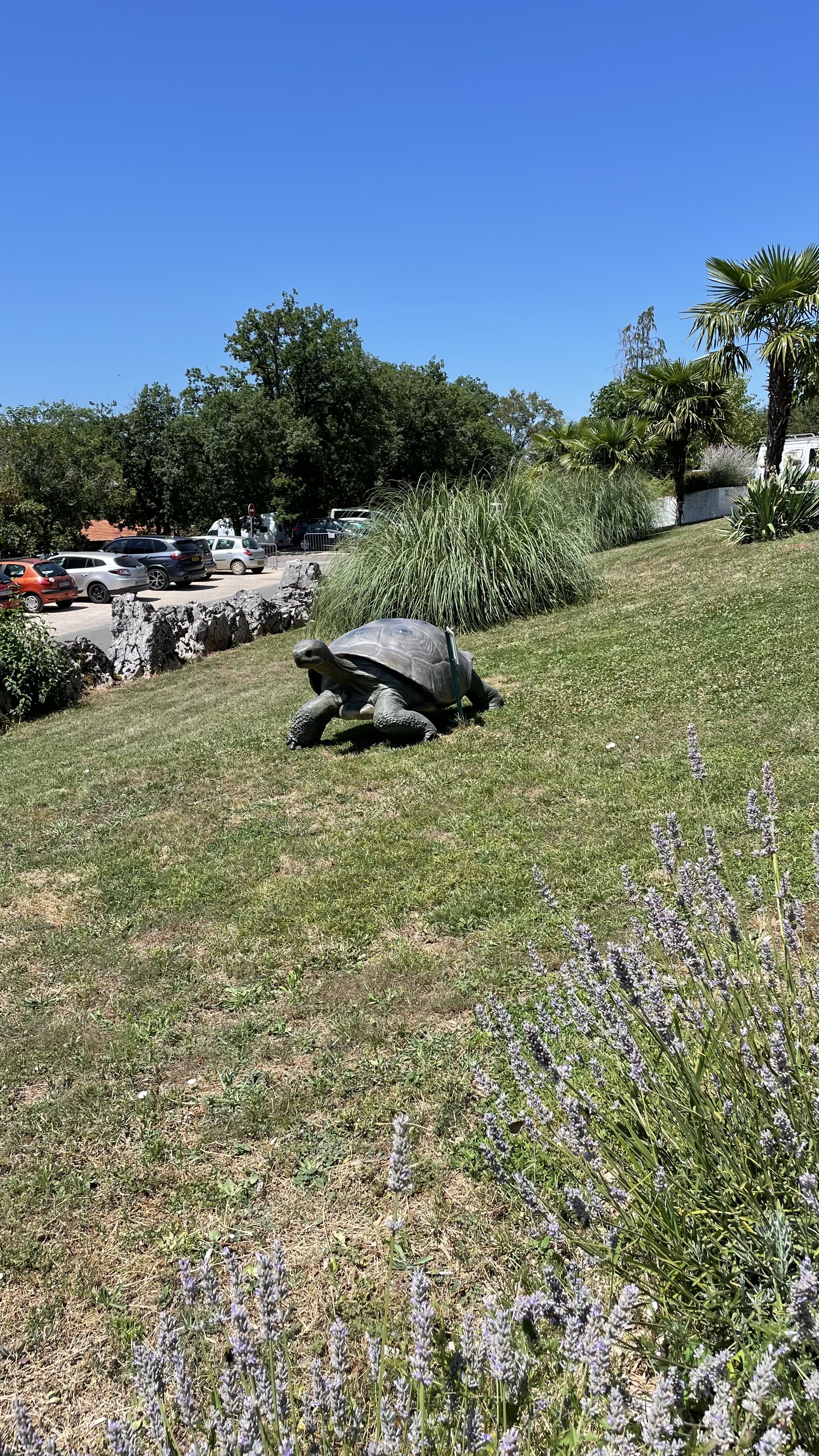 Photo n° 1 de l'avis de Gilles.v fait le 19/07/2023 à 16:11