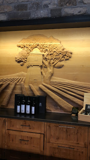 Bicycle Rental Service «Napa Valley Bike Tours & Rentals», reviews and photos, 6500 Washington St, Yountville, CA 94599, USA