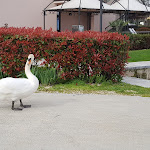 Photo n°2 de l'avis de J... fait le 14/04/2018 à 05:38 sur le  Yachting Hotel Mistral Sirmione à Sirmione