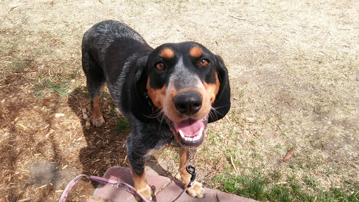 Park «Acacia Park», reviews and photos, 115 E Platte Ave, Colorado Springs, CO 80903, USA