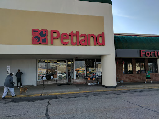 Petland, 4082 William Penn Hwy #49B, Monroeville, PA 15146, USA, 