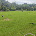 Photo n° 4 de l'avis de Draki.O fait le 05/08/2023 à 19:53 pour Parc animalier et botanique & Parcabout de Branféré à Le Guerno