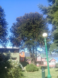 Huaihuén 300, Ancud, Los Lagos