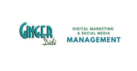 Ginger Didi - Social Media Marketing and Leads Specialists