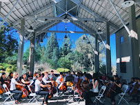 Cello Voce Music - Cello Lessons Orange County - Photo 3 - Car repair in Tustin, CA, Anaheim